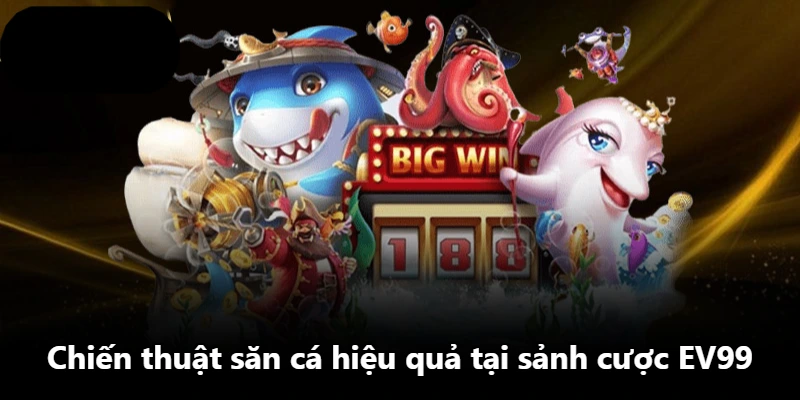Chiến thuật săn cá hiệu quả tại sảnh cược EV99