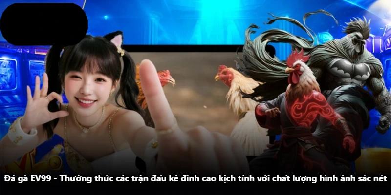 Đá Gà EV99 - Thưởng Thức Các Trận Đấu Kê Đỉnh Cao Kịch Tính Với Chất Lượng Hình Ảnh Sắc Nét