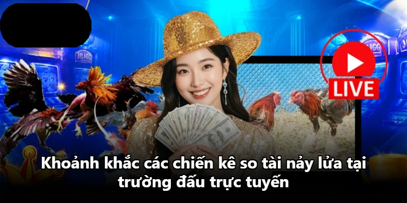 Khoảnh khắc các chiến kê so tài nảy lửa tại trường đấu trực tuyến
